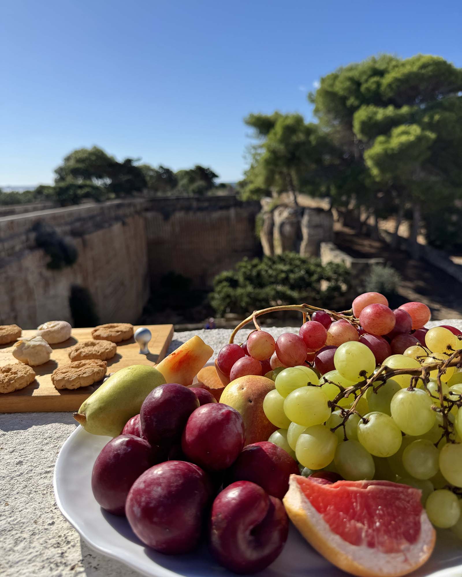 Colazione all’aperto da Mae a Favignana con frutta fresca, biscotti e vista sul giardino e sulla cava di tufo.
