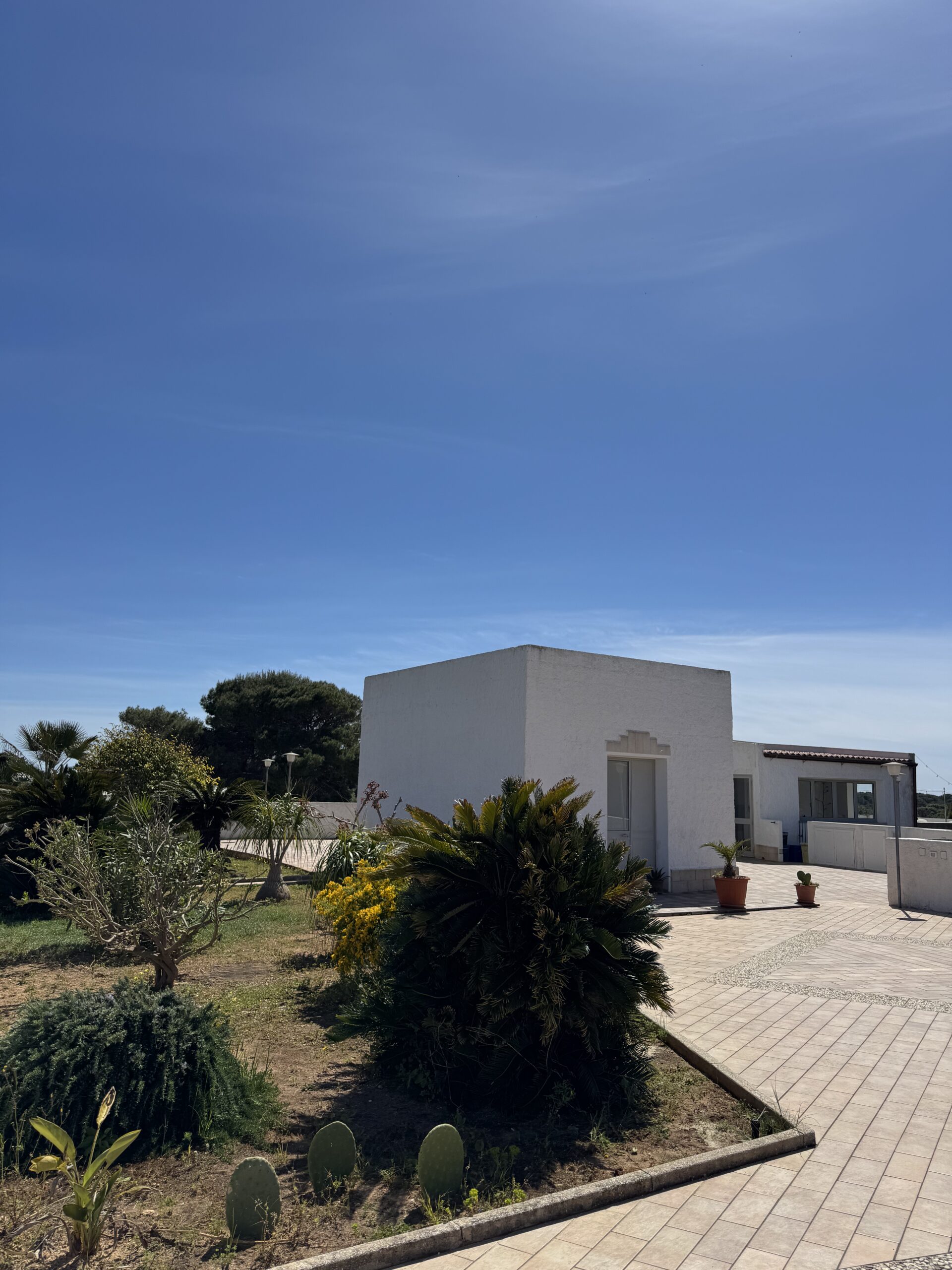 Colazione all’aperto da Mae a Favignana con frutta fresca, biscotti e vista sul giardino e sulla cava di tufo.