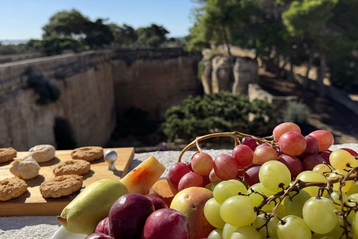 Colazione all’aperto da Mae a Favignana con frutta fresca, biscotti e vista sul giardino e sulla cava di tufo.